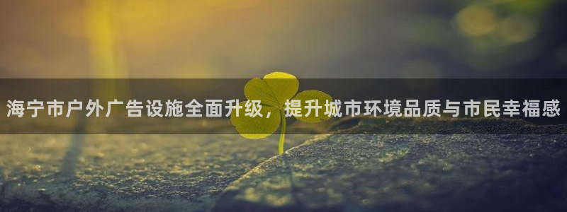 杏宇平台客服：海宁市户外广告设施全面升级