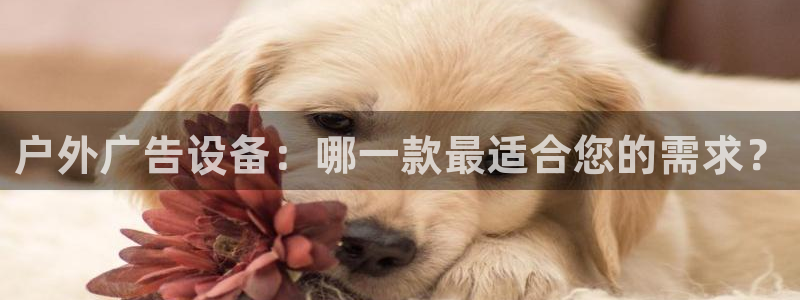 杏宇代理注册：户外广告设备：哪一款最适合